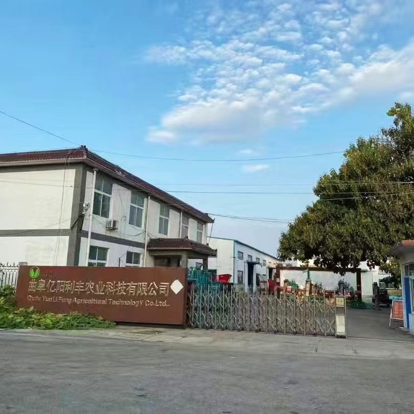 實(shí)力廠區(qū)
